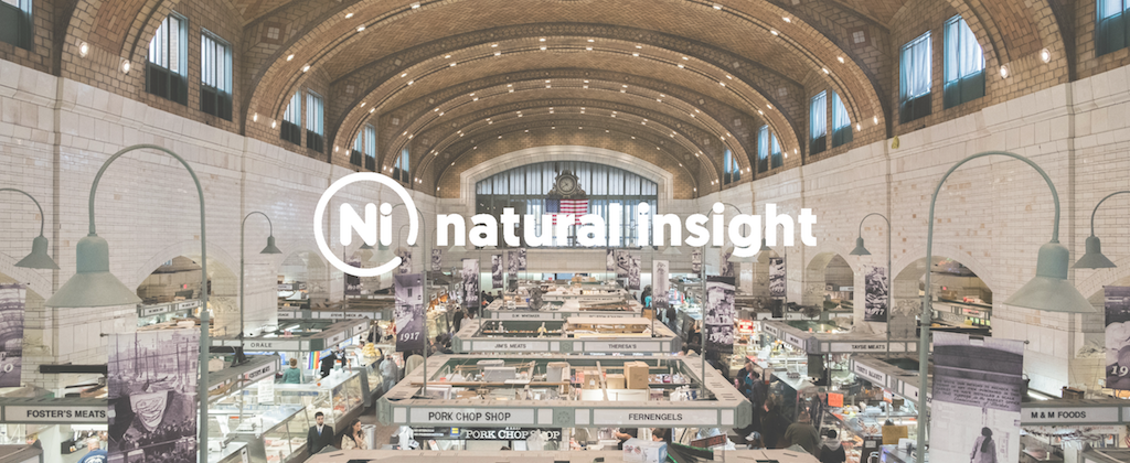 Natural Insight logo